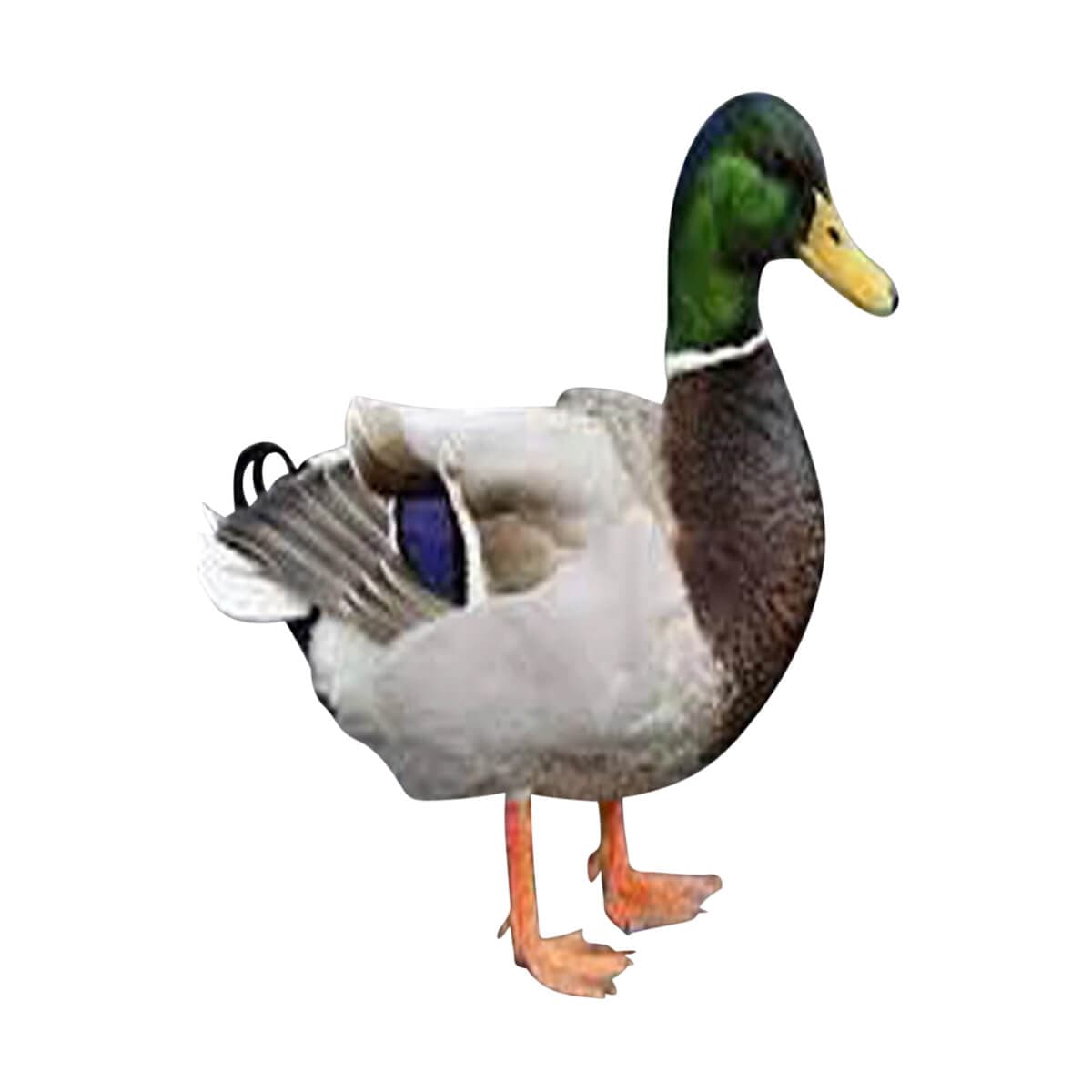 Deshi Duck (Processed) (দেশি হাঁস)