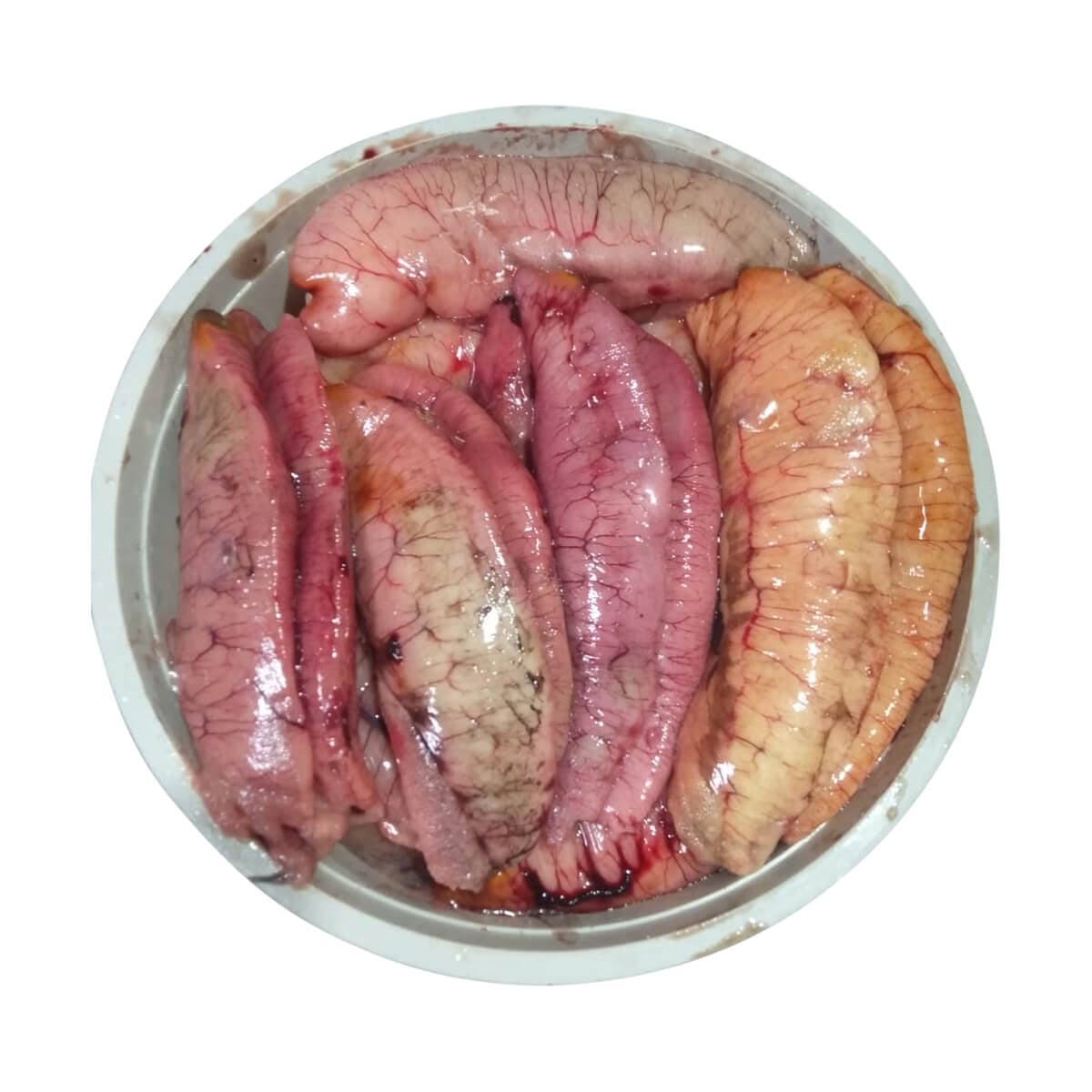 Ilish/Hilsa Egg 500gm (ইলিশের ডিম)